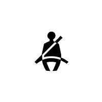 Driver’s seat belt reminder and, depending on the vehicle, front passenger seat belt reminder
